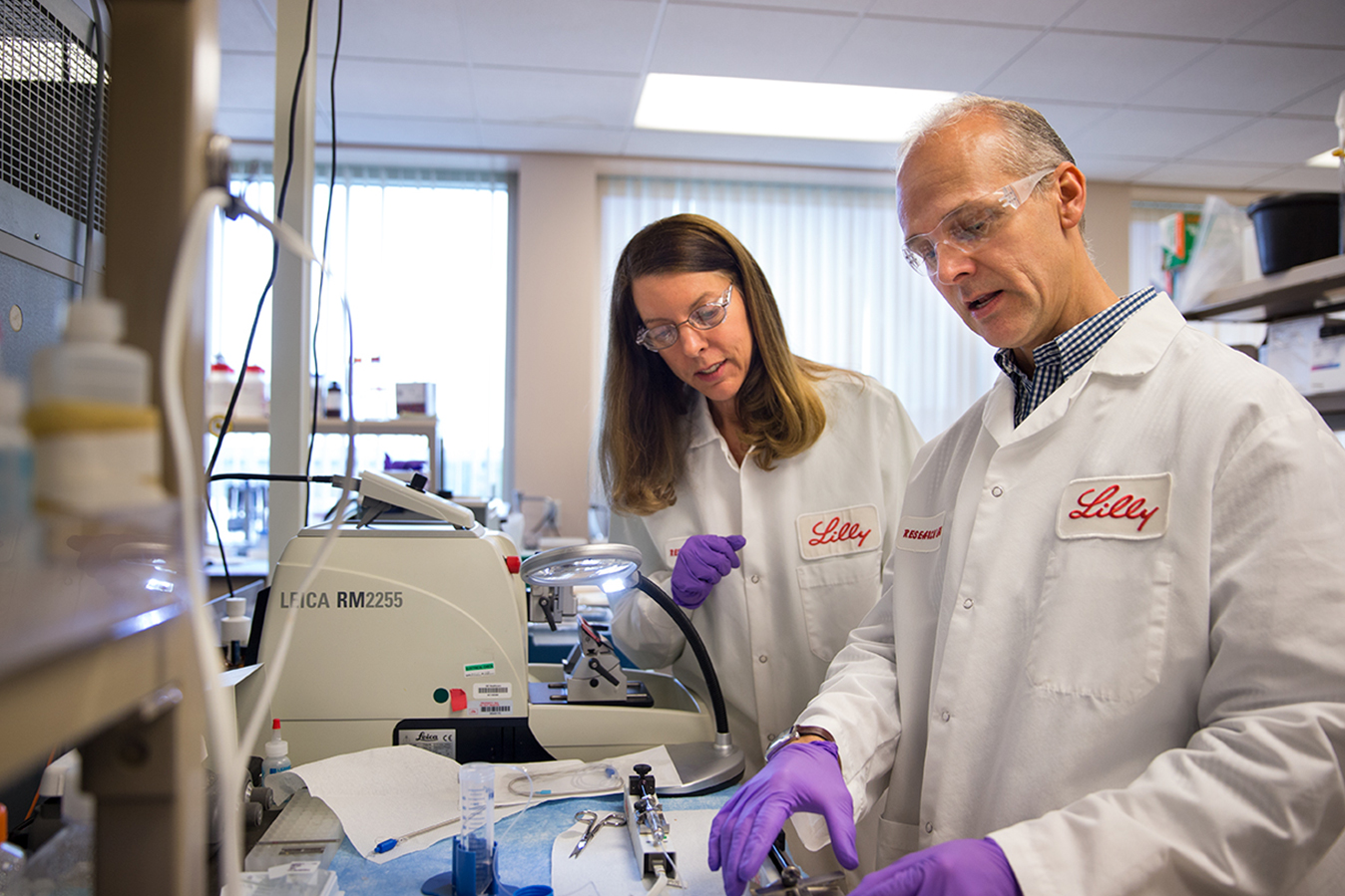 Two Lilly scientists working in the lab