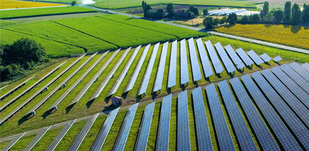 Solar panels in a field, representing Lilly's commitment to sustainability